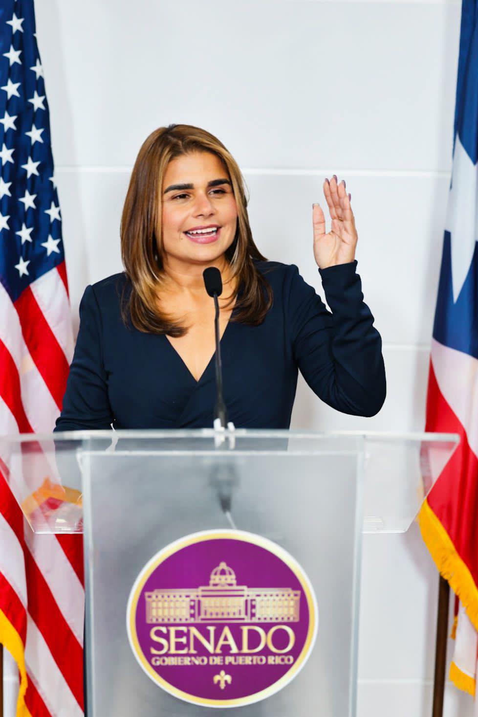 Imagen de Cumbre en el Senado para atender crisis de erosión costera en Arecibo
