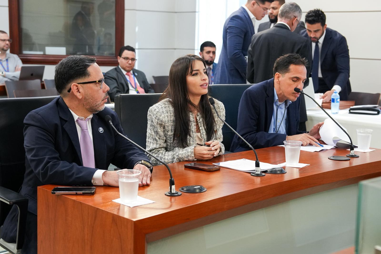 Imagen de Comisión evalúa crear la “Ley de Subastas Públicas con Inteligencia Artificial y Transparencia Gubernamental de Puerto Rico”