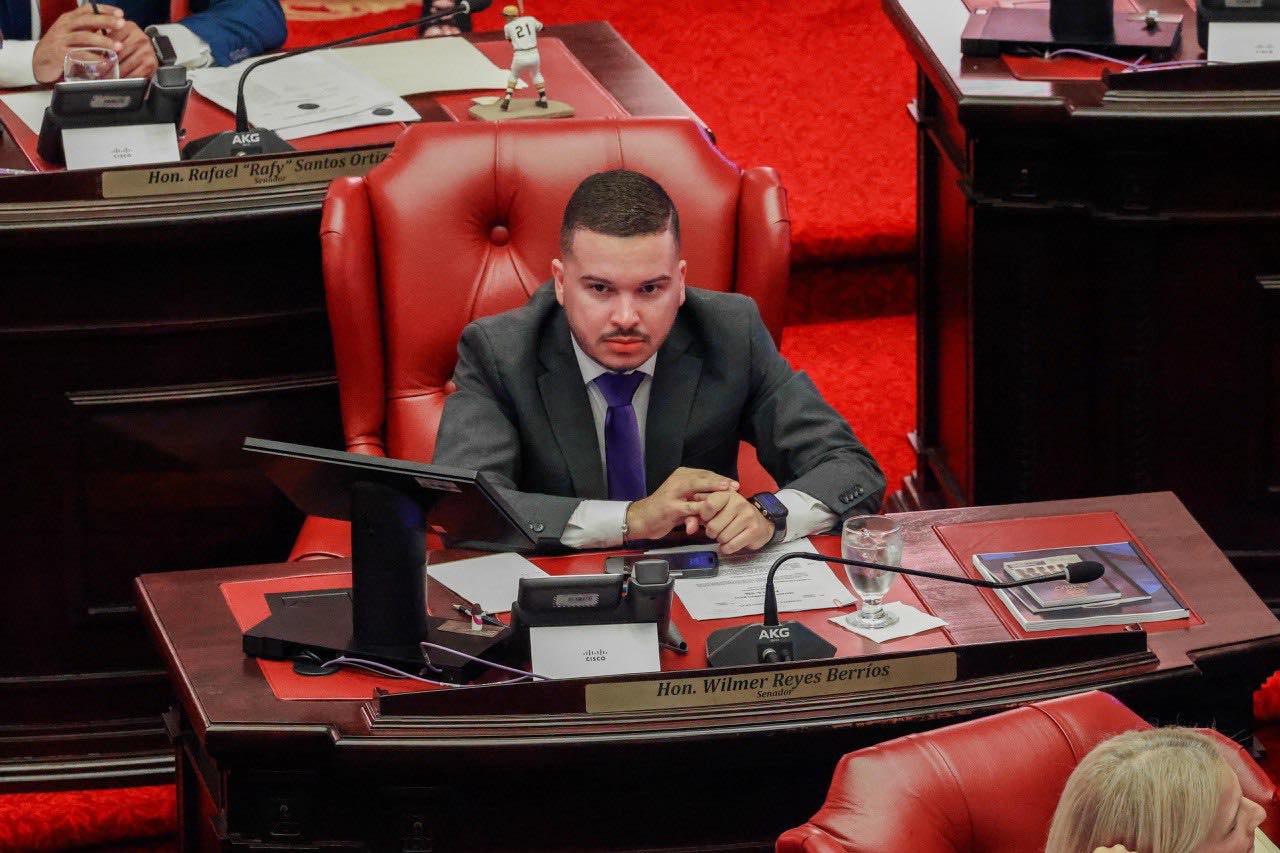Imagen de Aprueban medida que aumenta penas por reincidencia agravada