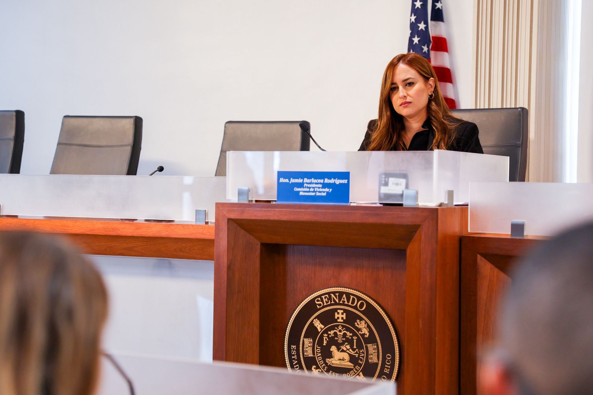 Imagen de Senado inicia investigación para rediseñar el sistema de cuido prolongado en Puerto Rico