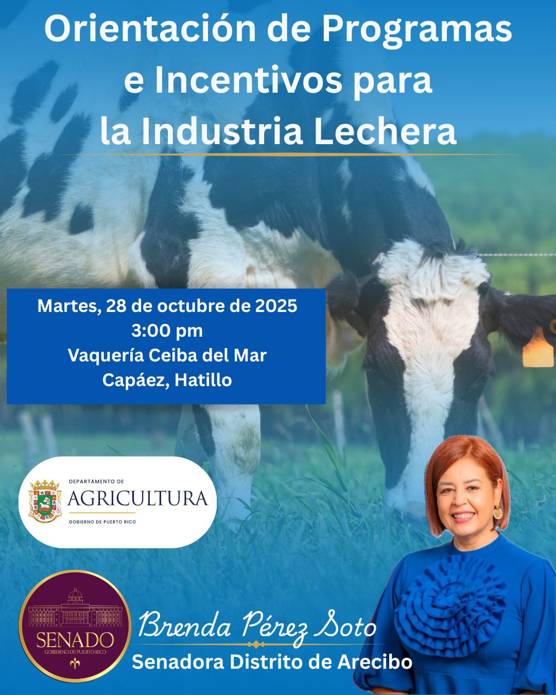 Imagen de Senadora Brenda Pérez Soto invita a orientación sobre programas e incentivos para la industria lechera
