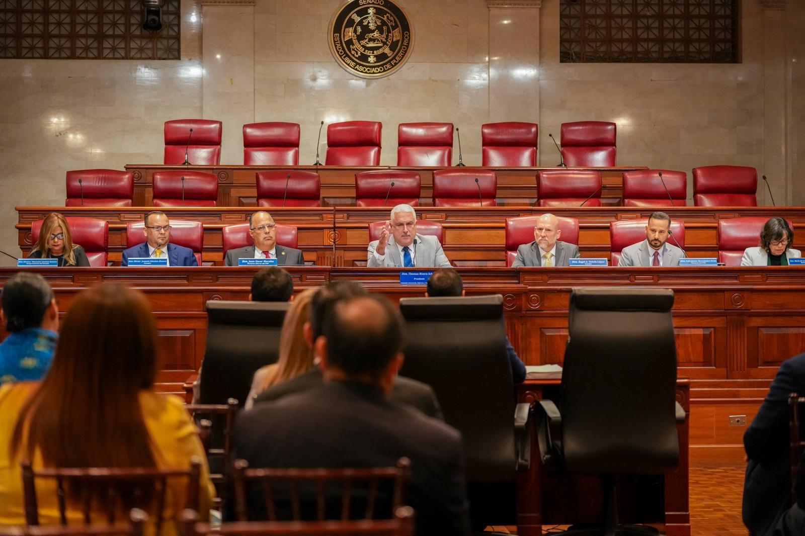 Imagen de Bajo evaluación del Senado enmiendas al Código Electoral de Puerto Rico 