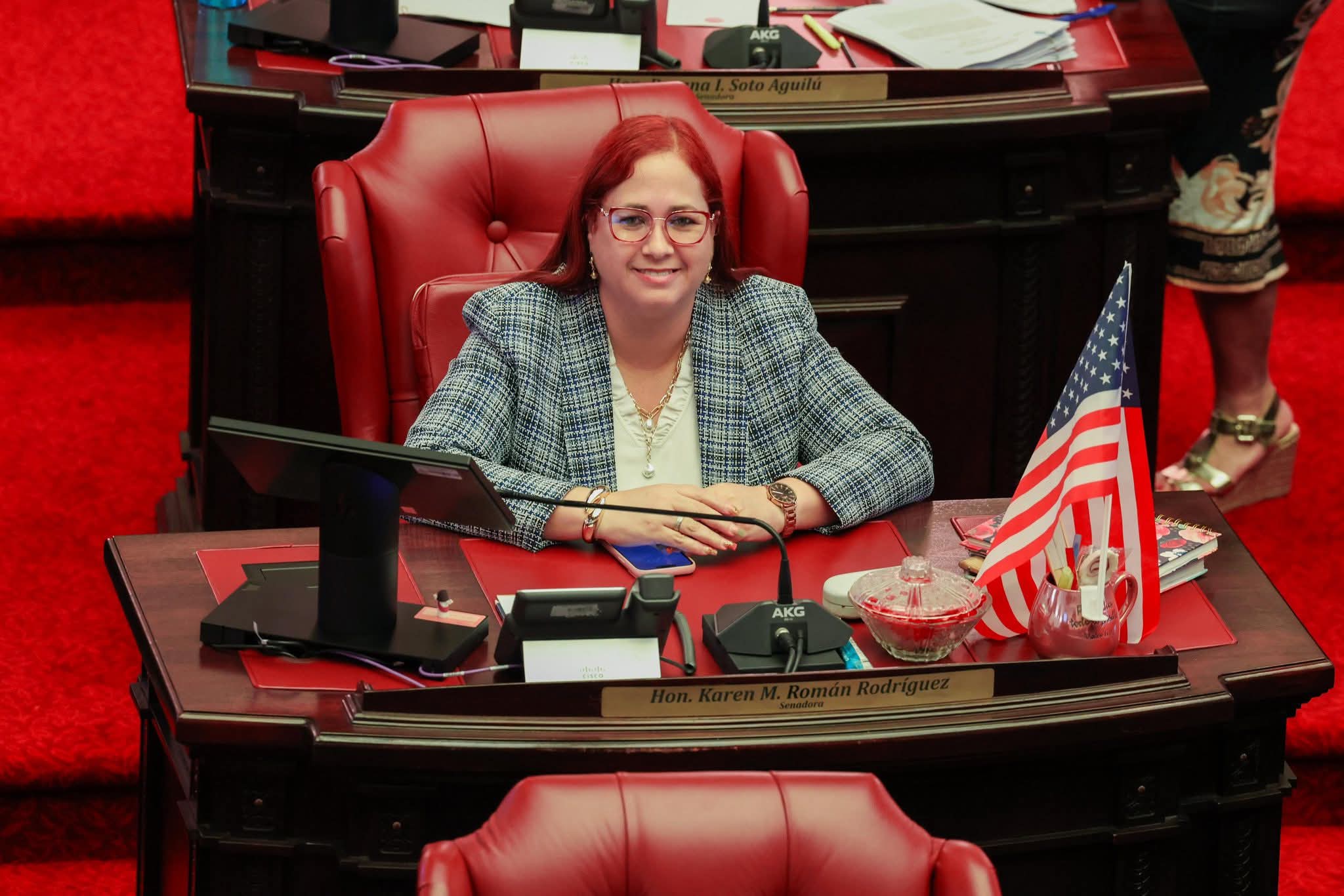 Imagen de Senado aprueba medida de la senadora Karen Román Rodríguez para impulsar el emprendimiento juvenil en Puerto Rico
