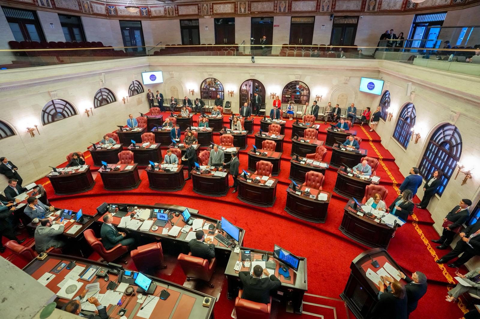 Imagen de Senado aprueba crear base de datos sobre suministros esenciales en el gobierno