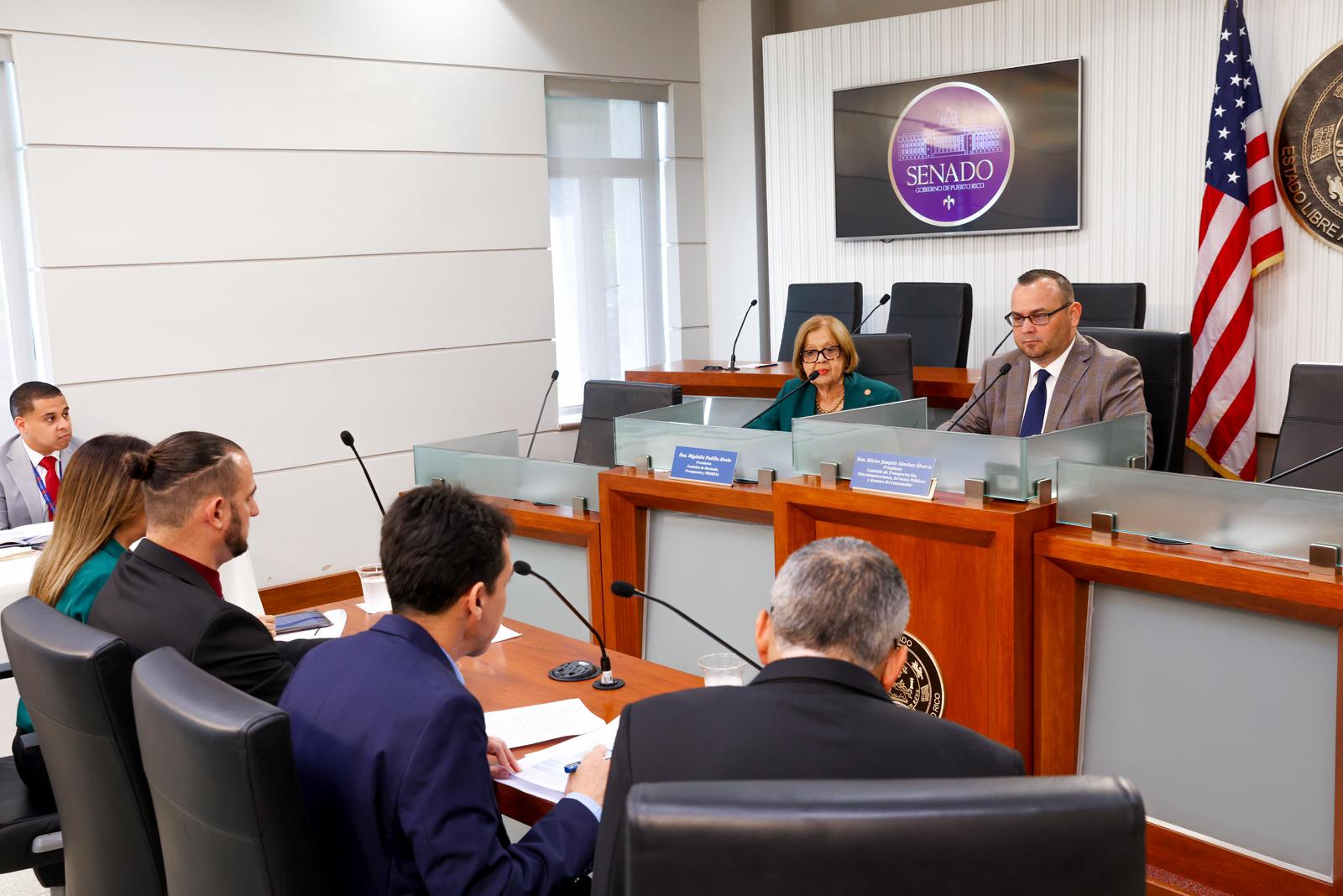Imagen de Senado evalúa en vista pública medida sobre descuento a multas de tránsito