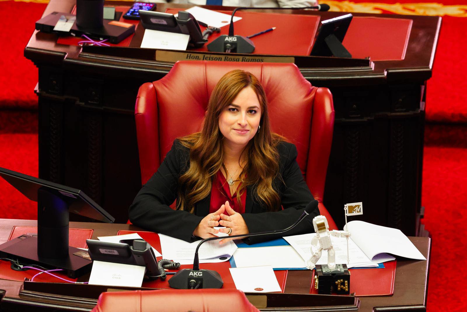 Imagen de Senadora Jamie Barlucea radica proyecto de ley para facilitar acceso a servicios de salud a personas sin hogar