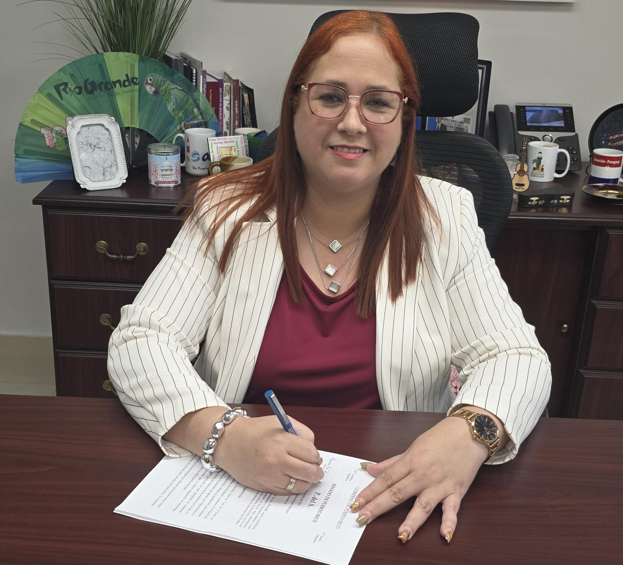 Imagen de Proponen descuento del 25% en la factura de luz para adultos mayores de bajos ingresos