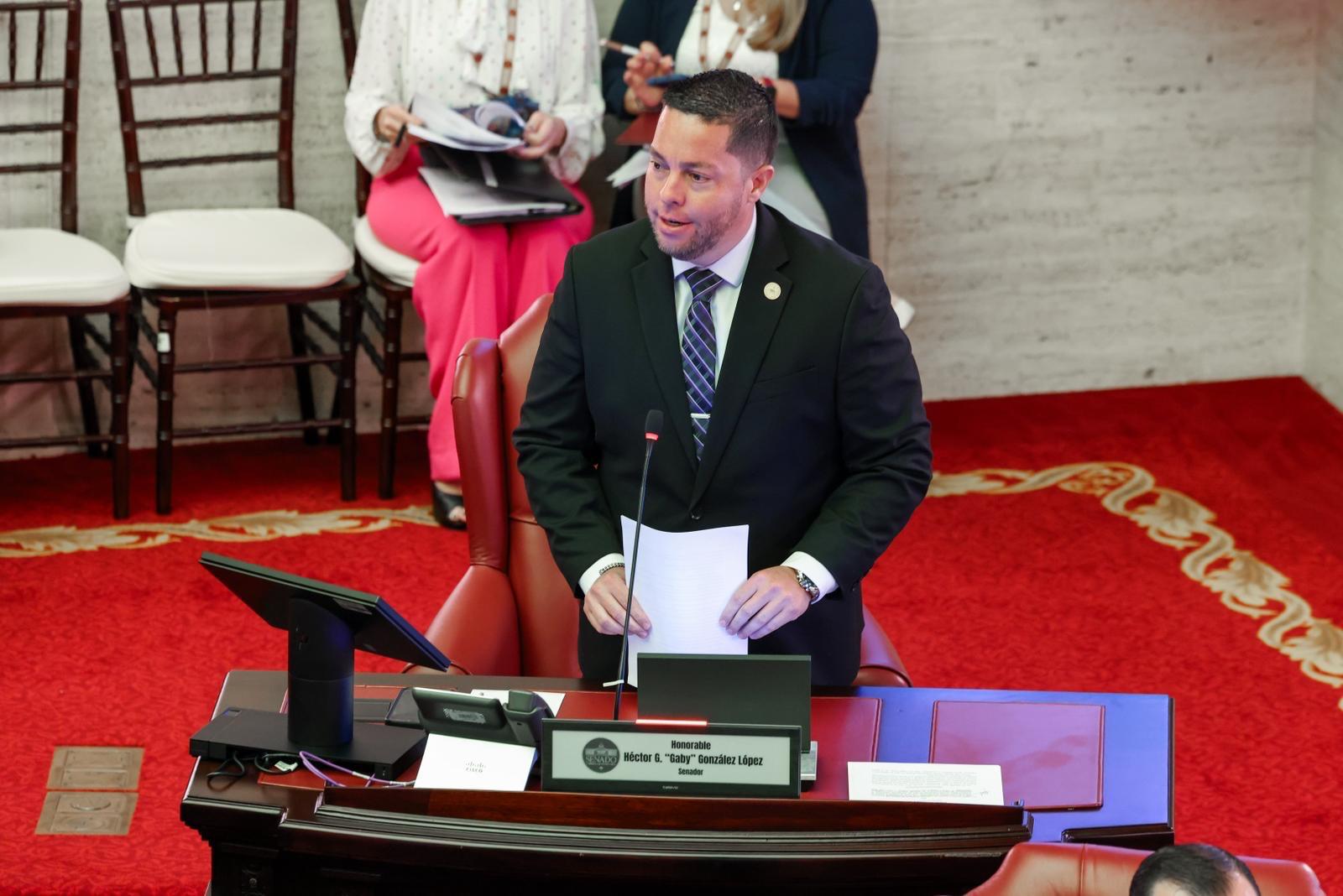 Imagen de Senado impulsa derechos de la mujer en estado de gestación 