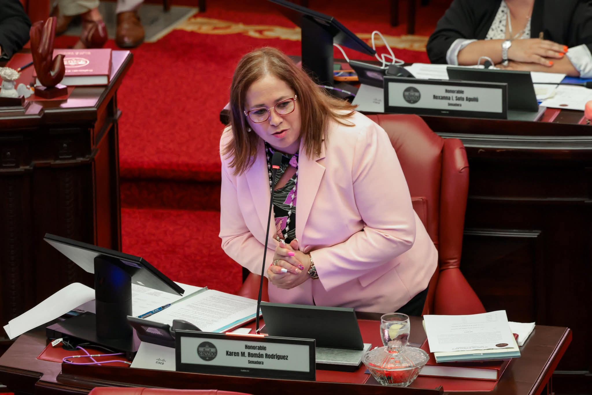 Imagen de Despega el Aeropuerto de Aguadilla: Senado aprueba informe que confirma inversión millonaria y expansión estratégica para el oeste