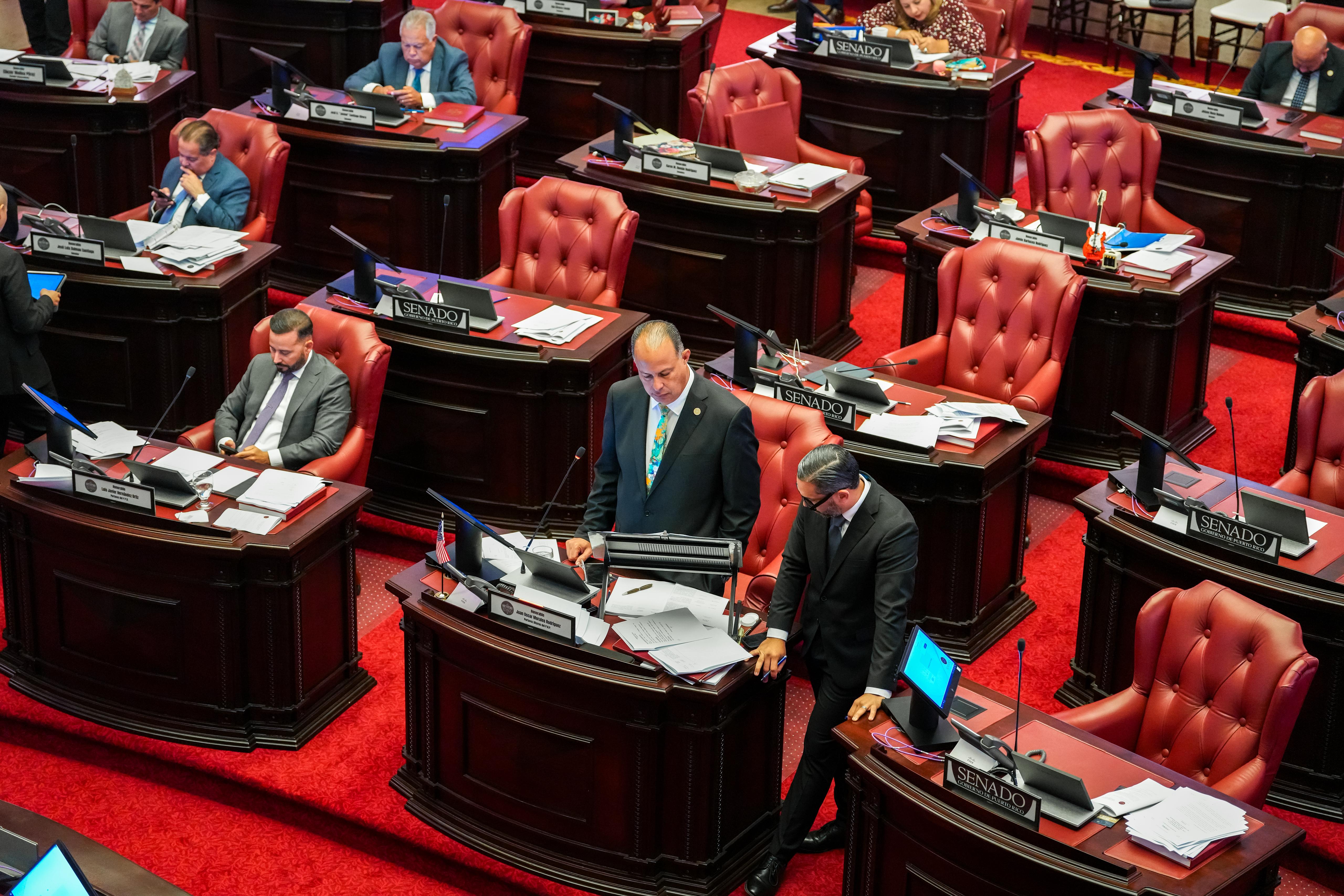 Imagen de Senado aprueba proyecto para agilizar certificaciones electrónicas de proveedores de servicios de cuidado y salud