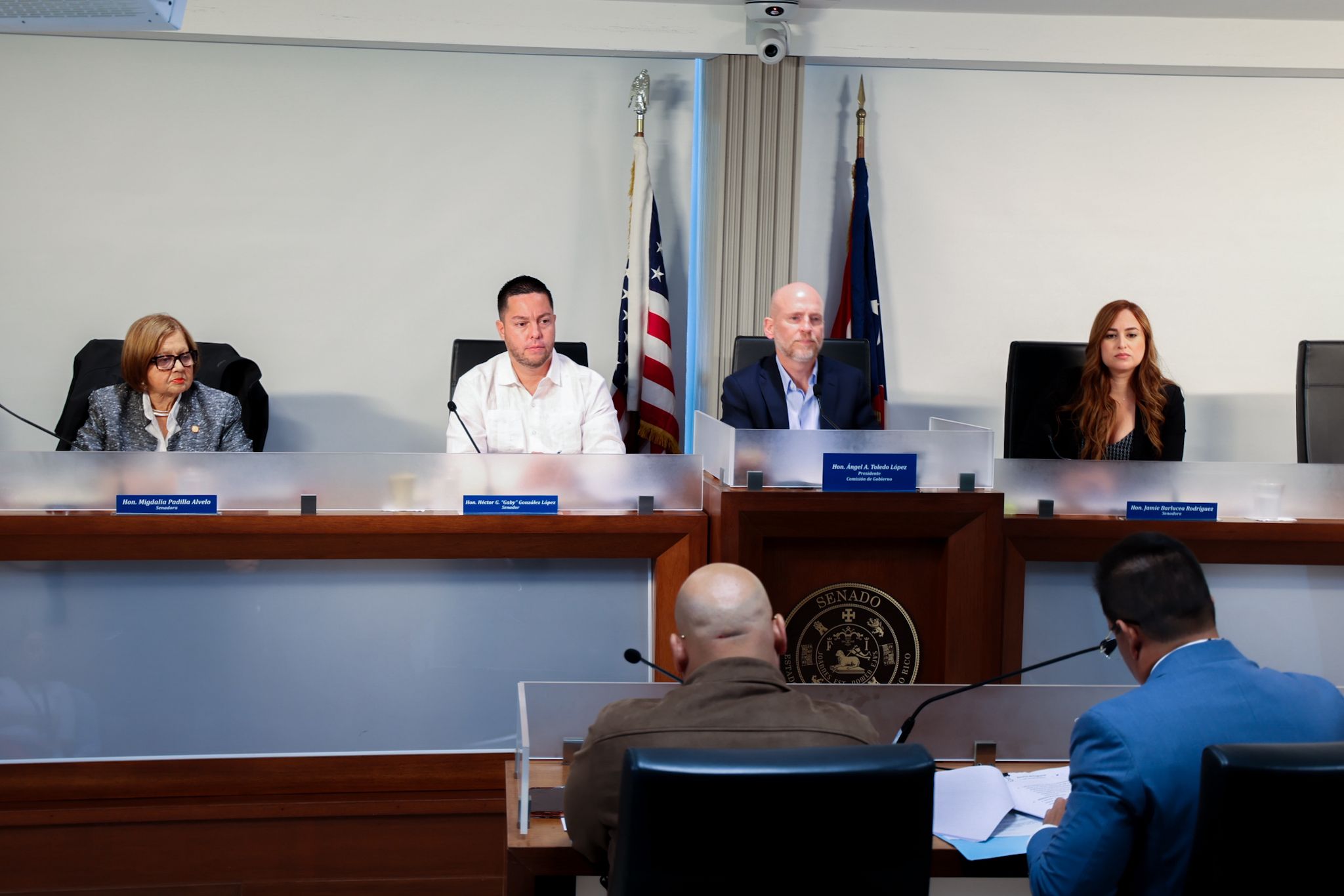 Imagen de Comisión investiga programas de rehabilitación en el sistema correccional