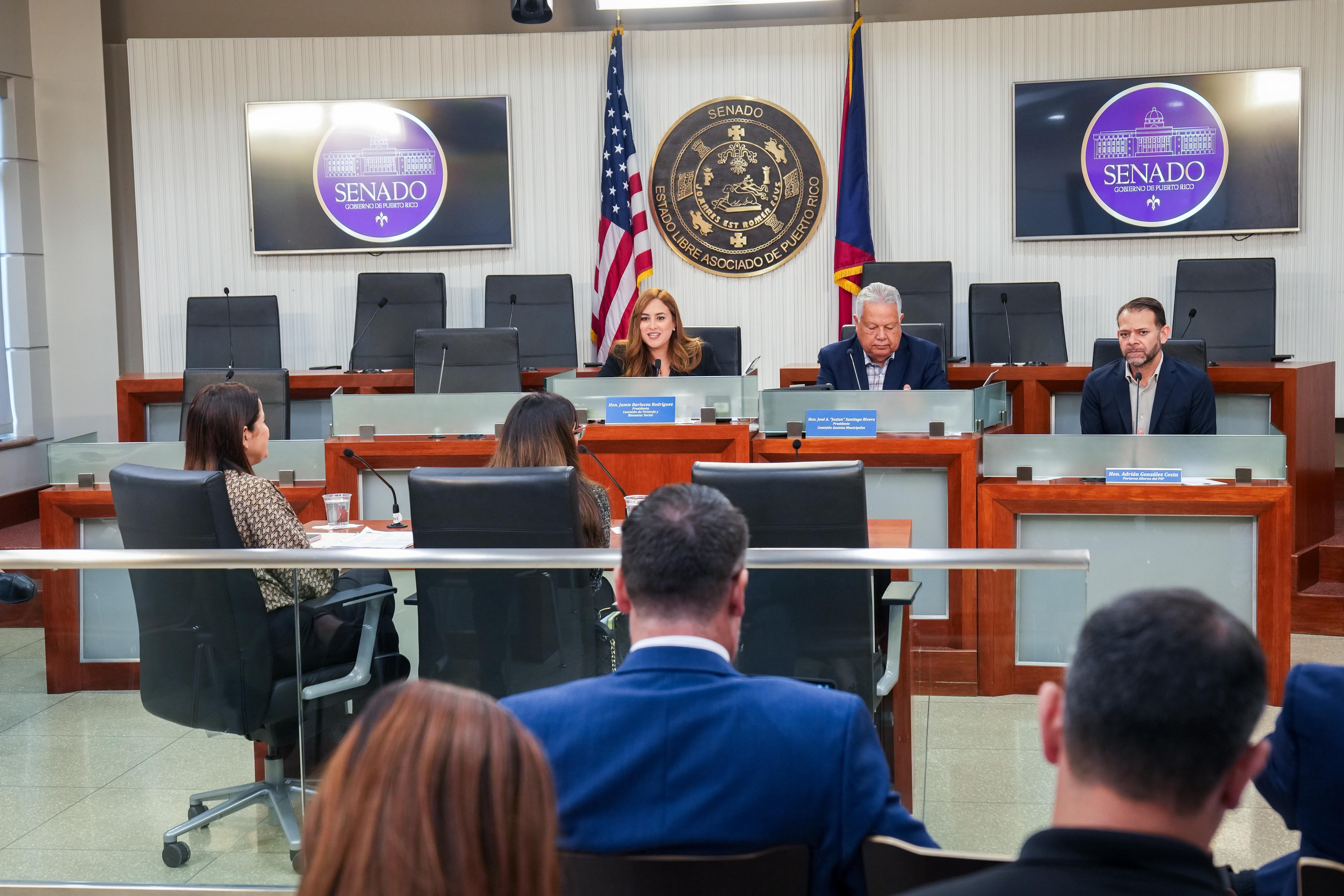 Imagen de Comisiones del Senado investigan manejo de propiedades abandonadas y estorbos públicos en Puerto Rico