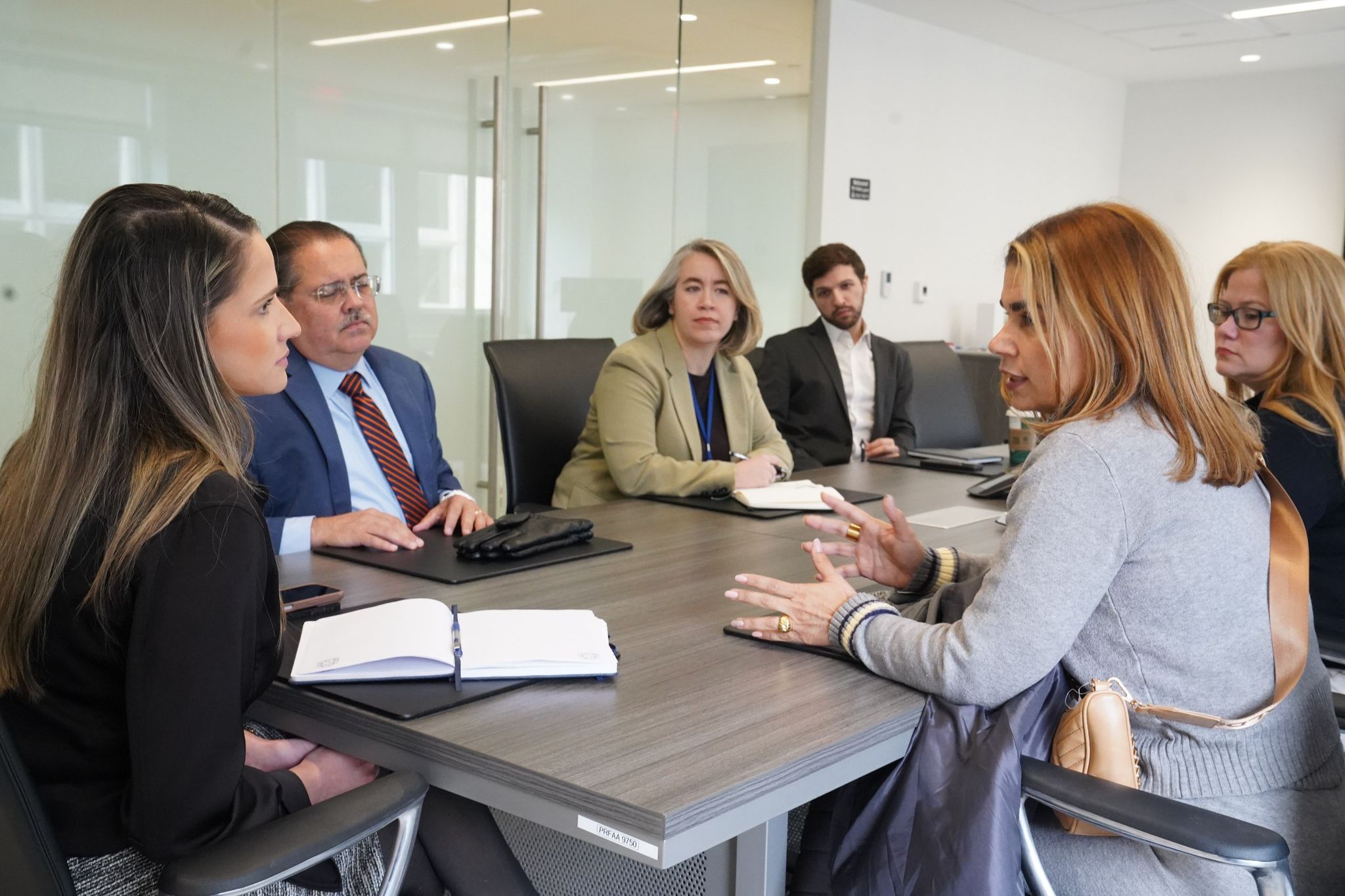 Imagen de Vicepresidenta del Senado gestiona apoyo federal para atender la erosión costera en Puerto Rico