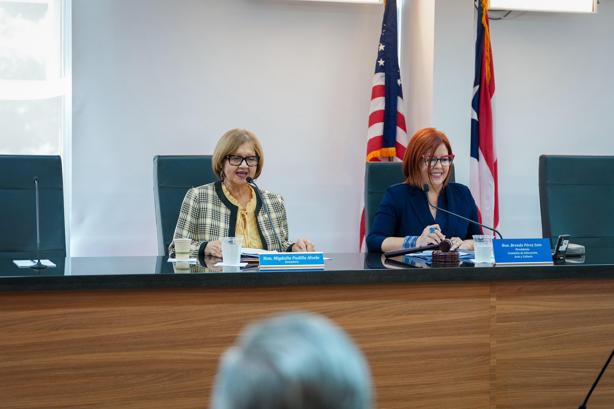 Imagen de Analizan evaluaciones de idoneidad psicológica en el sistema público