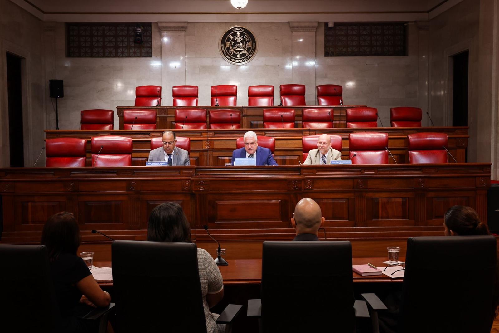 Imagen de Senado pasa revista sobre varios nombramientos del Ejecutivo