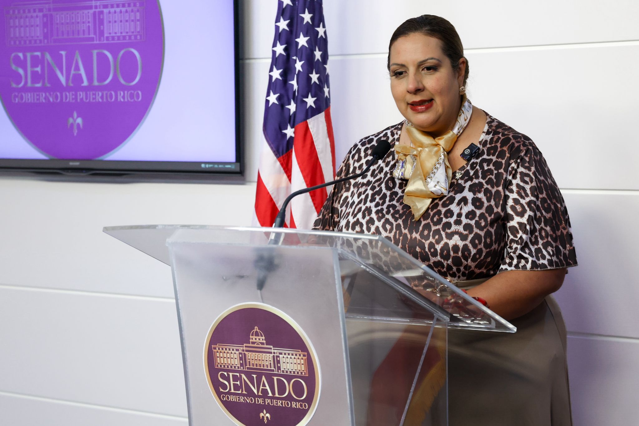 Imagen de La Senadora Soto Aguilú presenta iniciativas para dignificar la peregrinación y fortalecer el turismo religioso en Puerto Rico