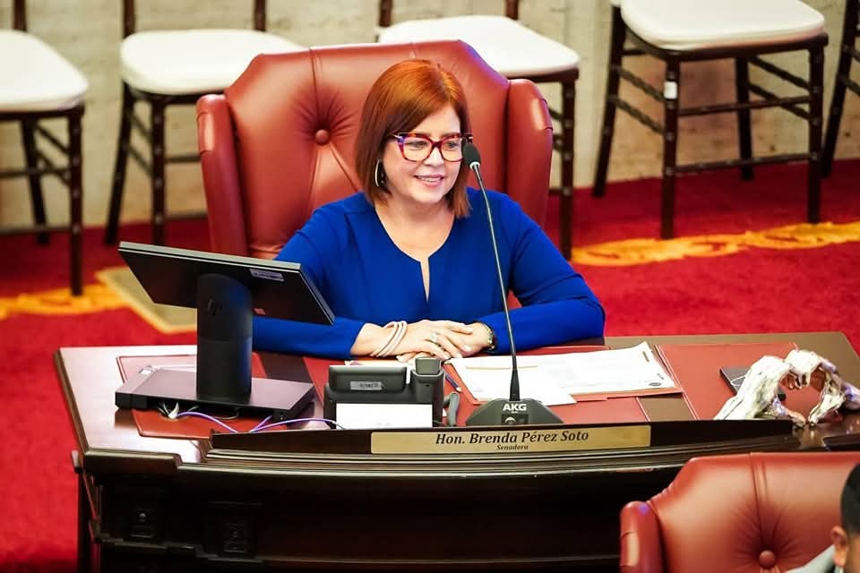 Imagen de Senadora radica medida para identificar caballos y mejorar la seguridad vial