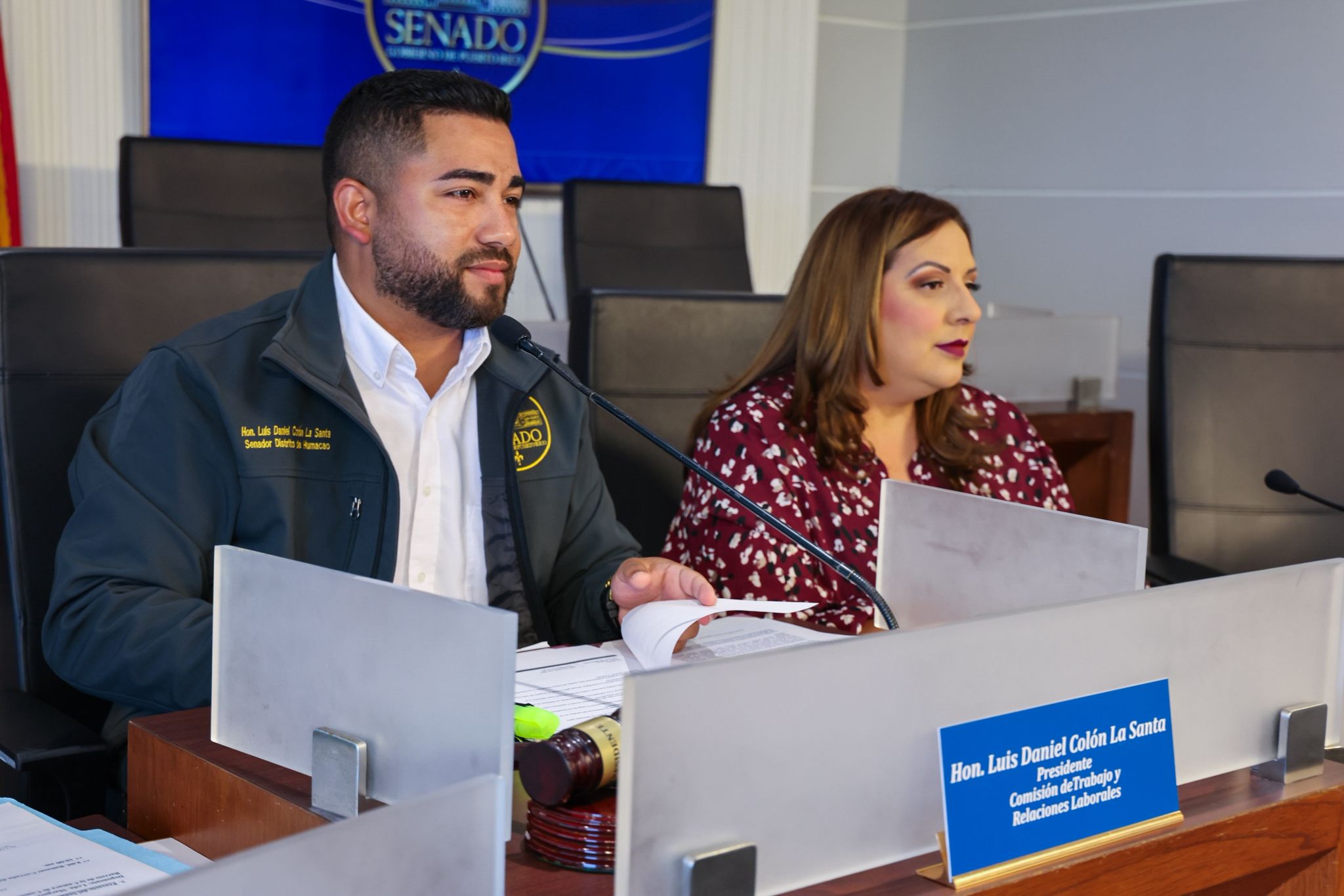 Imagen de Senado examina medidas sobre desempleo, cannabis medicinal y protección laboral