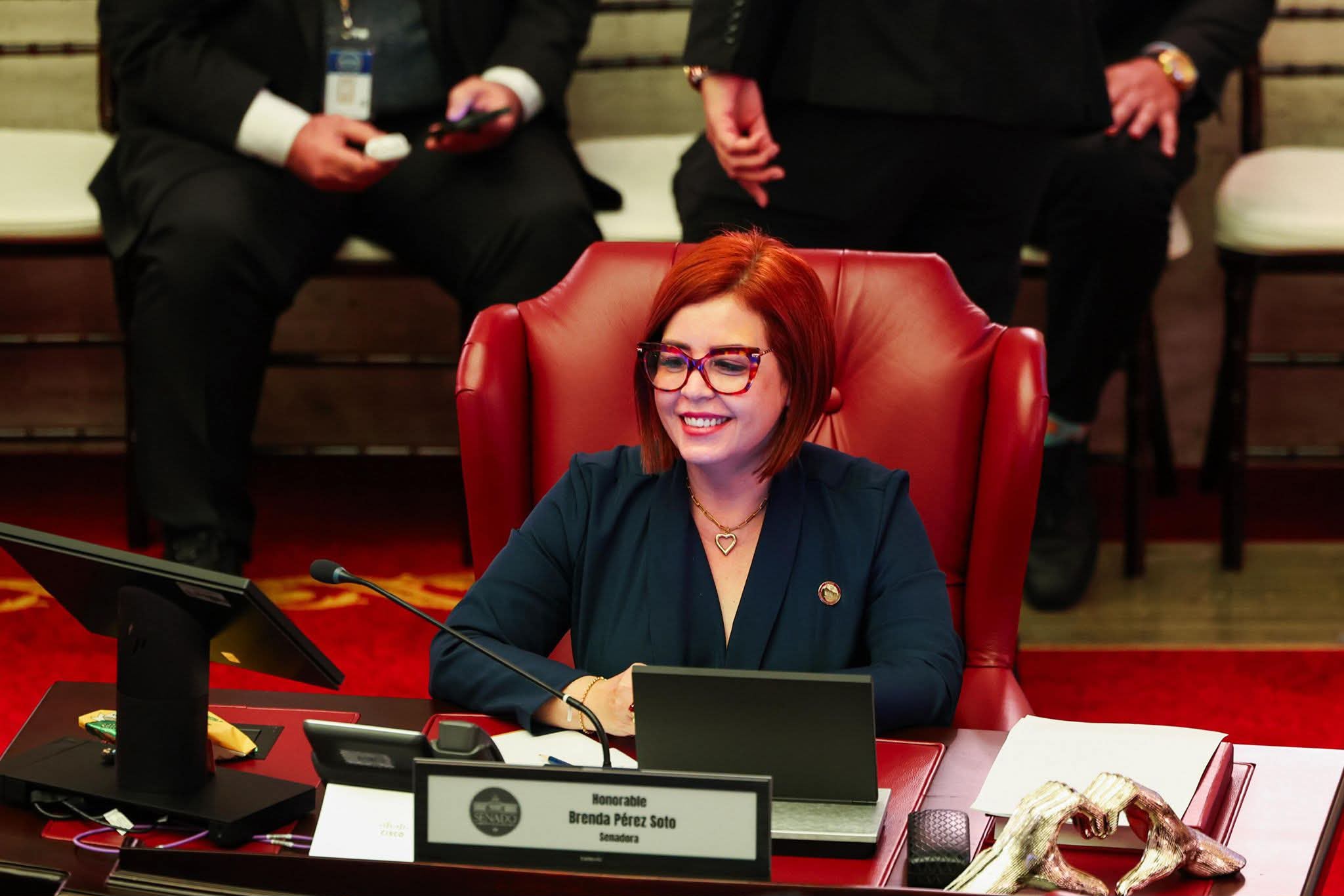 Imagen de Senadora Brenda Pérez Soto cumple con compromiso con el municipio de Arecibo