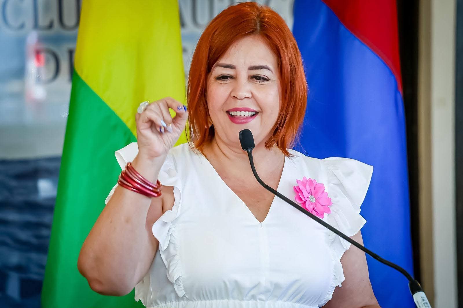 Imagen de Senadora Brenda Pérez Soto exige para el Distrito de Arecibo el mismo trato otorgado a los afectados por la avería del Superacueducto
