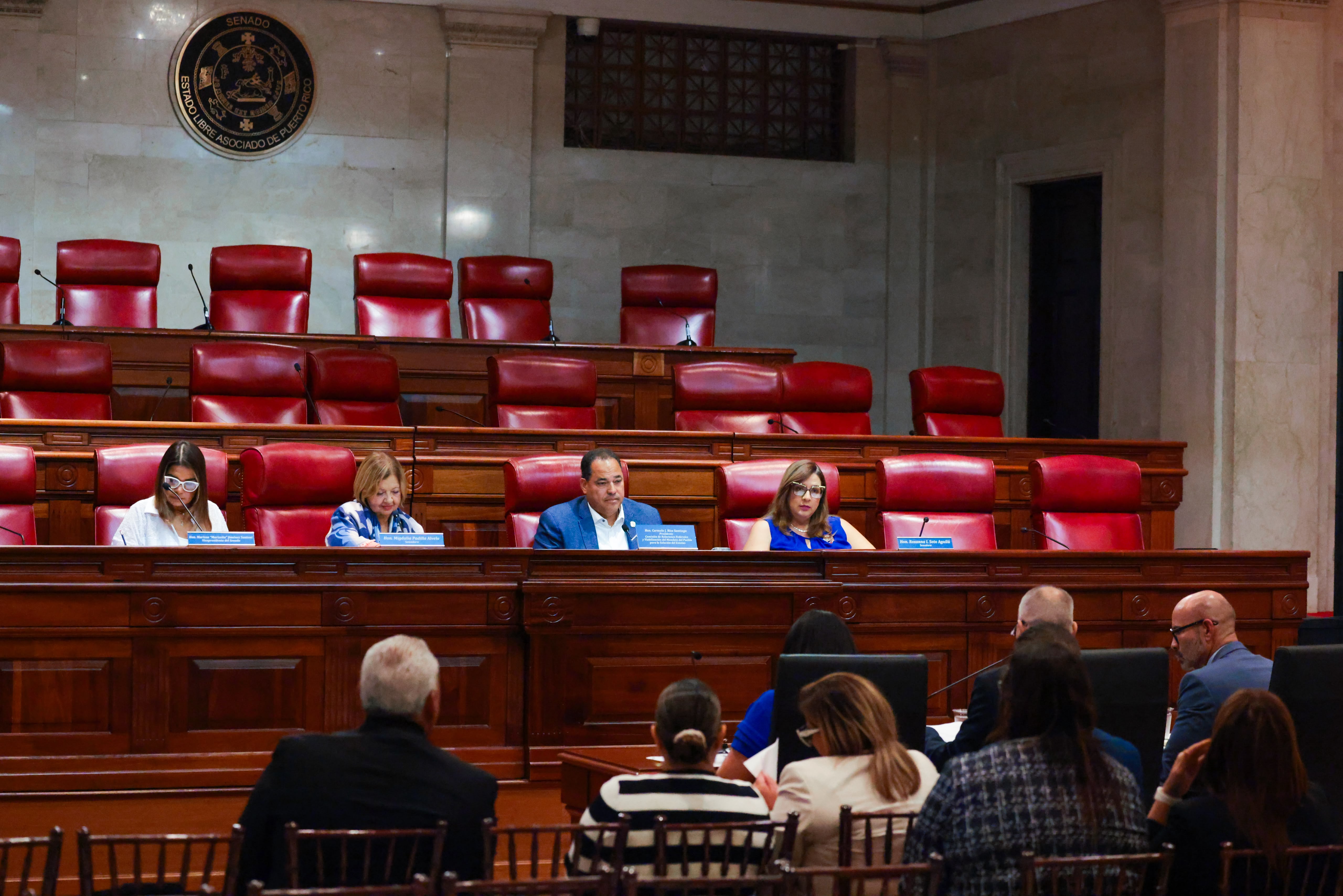 Imagen de Comisión estudia manejo de fondos federales y de los programas WIOA y TANF