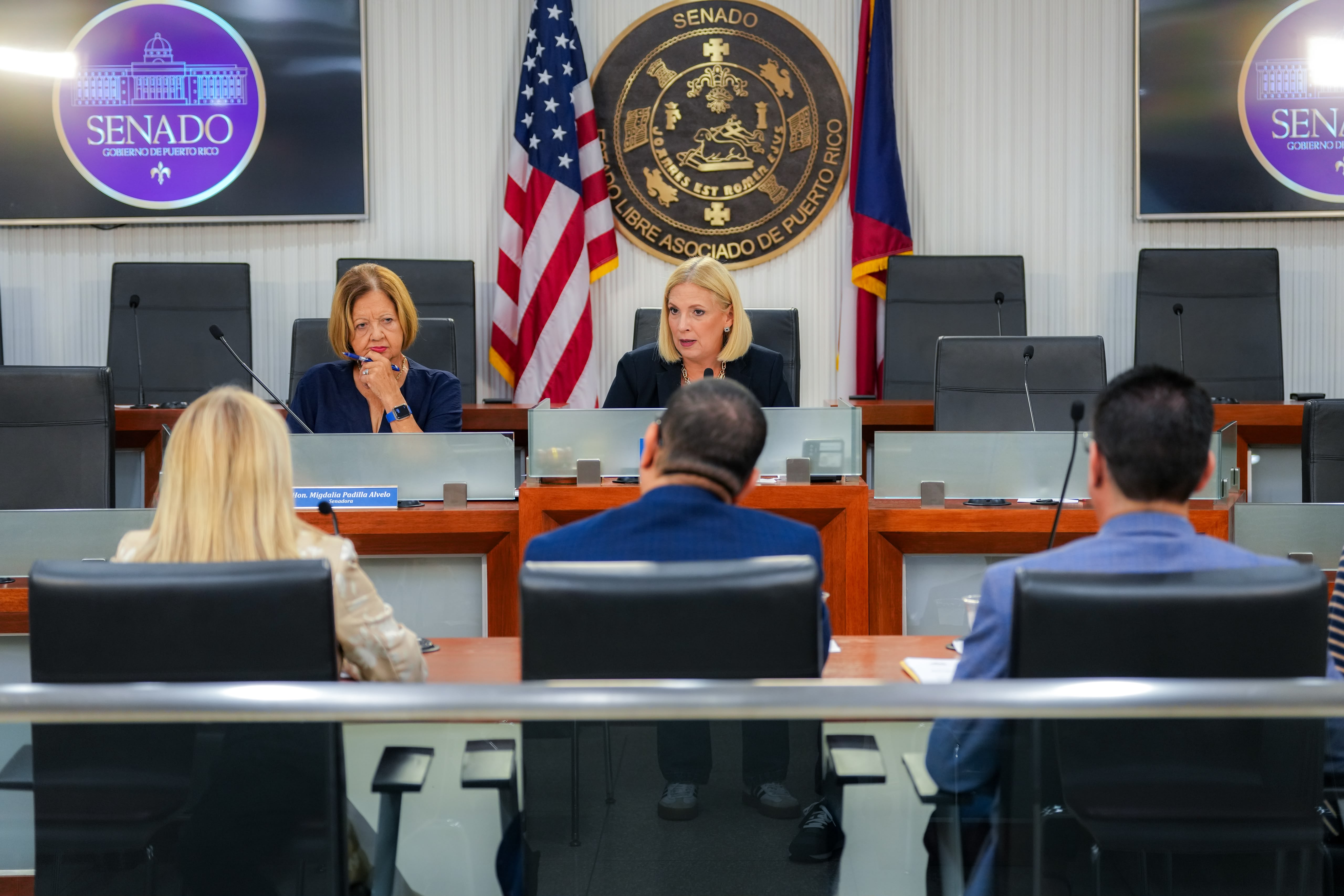 Imagen de  Comisión senatorial evalúa protecciones para consumidores ante uso de inteligencia artificial en reclamaciones de seguros