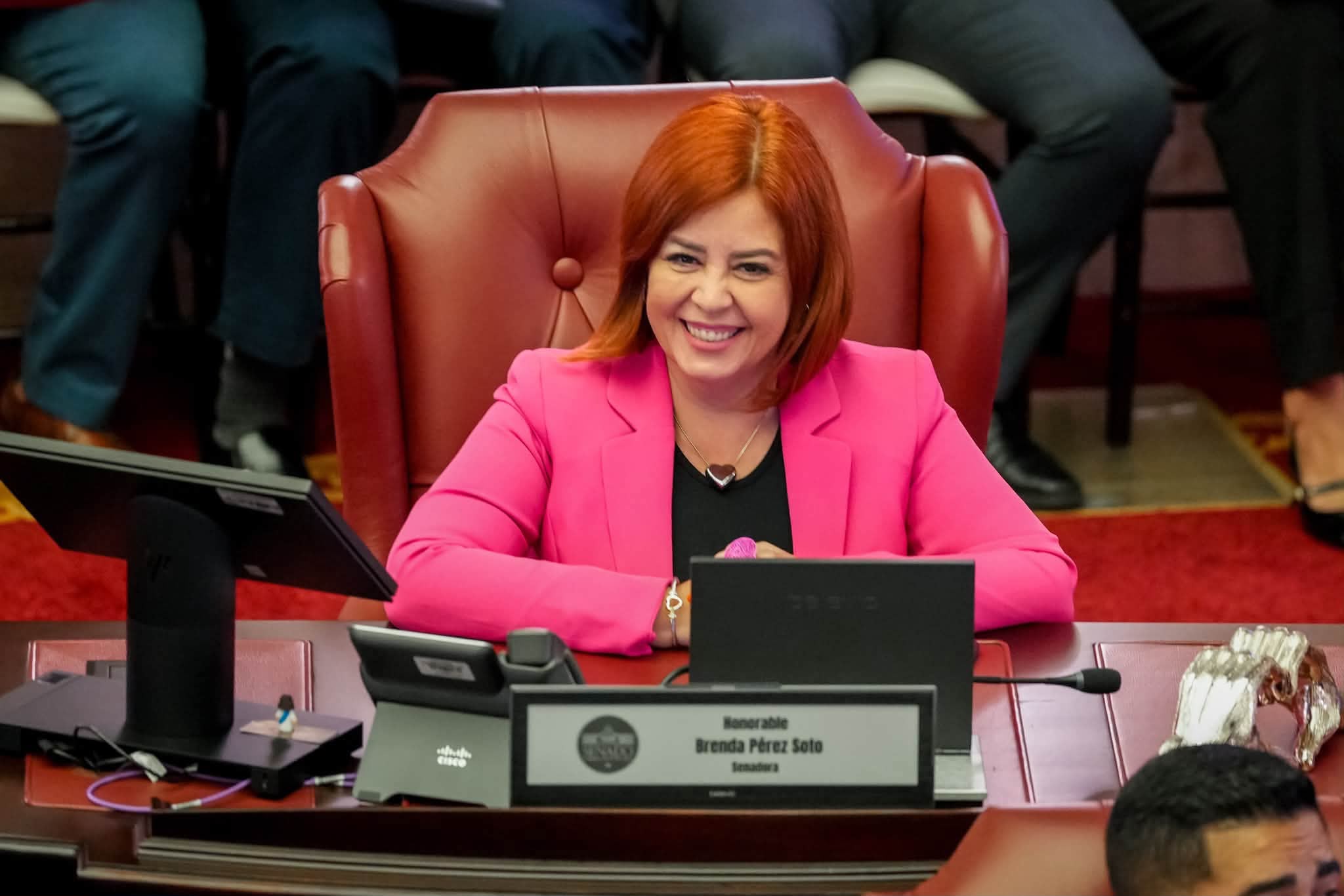 Imagen de Brenda Pérez Soto radica medida para establecer la Banda Oficial del Departamento de Educación de Puerto Rico