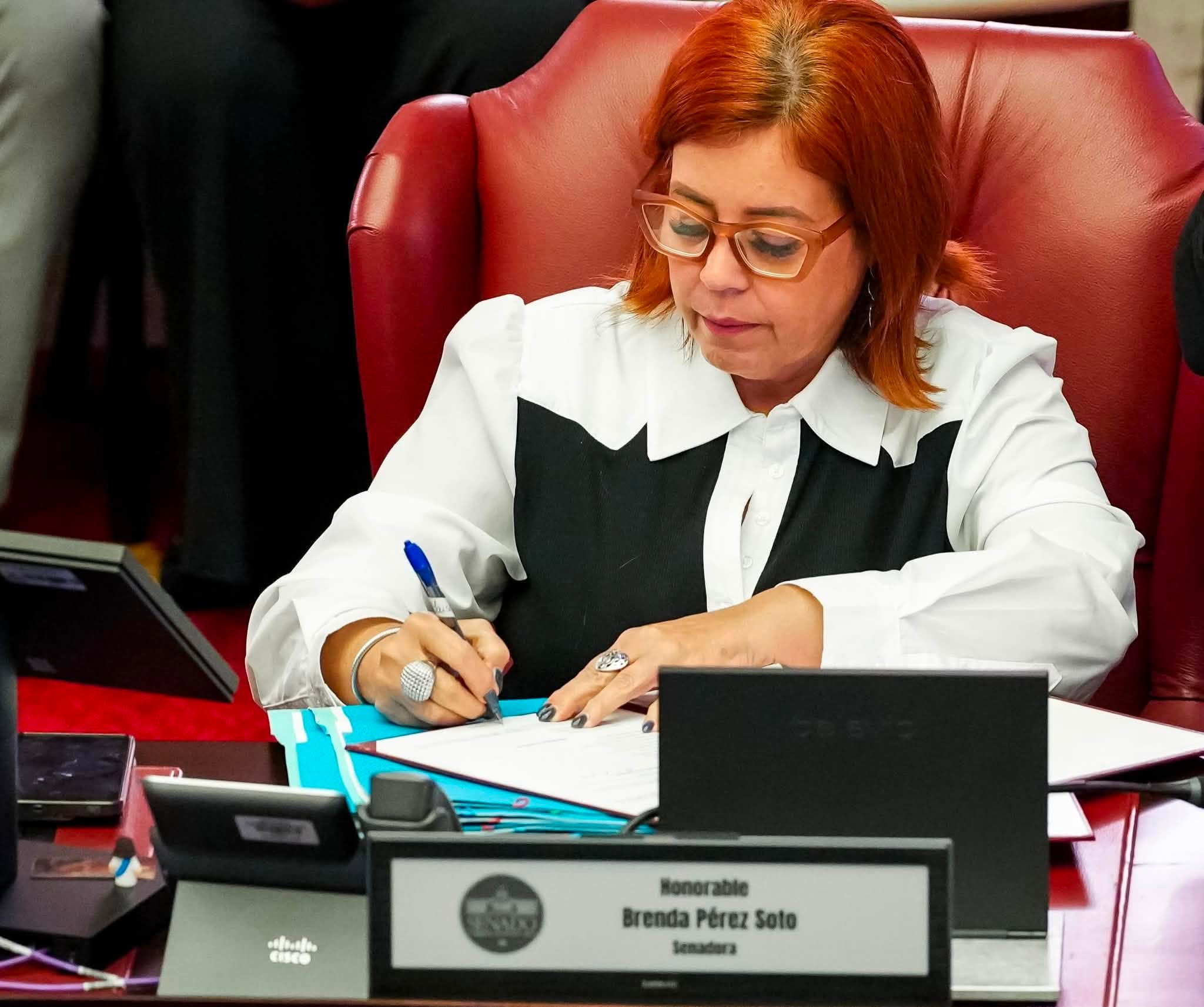 Imagen de Senadora Brenda Pérez exige aclarar cómo Policía y Corrección investigan los delitos dentro de las cárceles