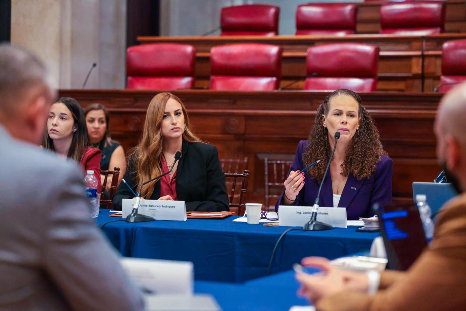 Imagen de Reunión convocada por la senadora Jamie Barlucea destapa falta de gestiones de LUMA para luminarias