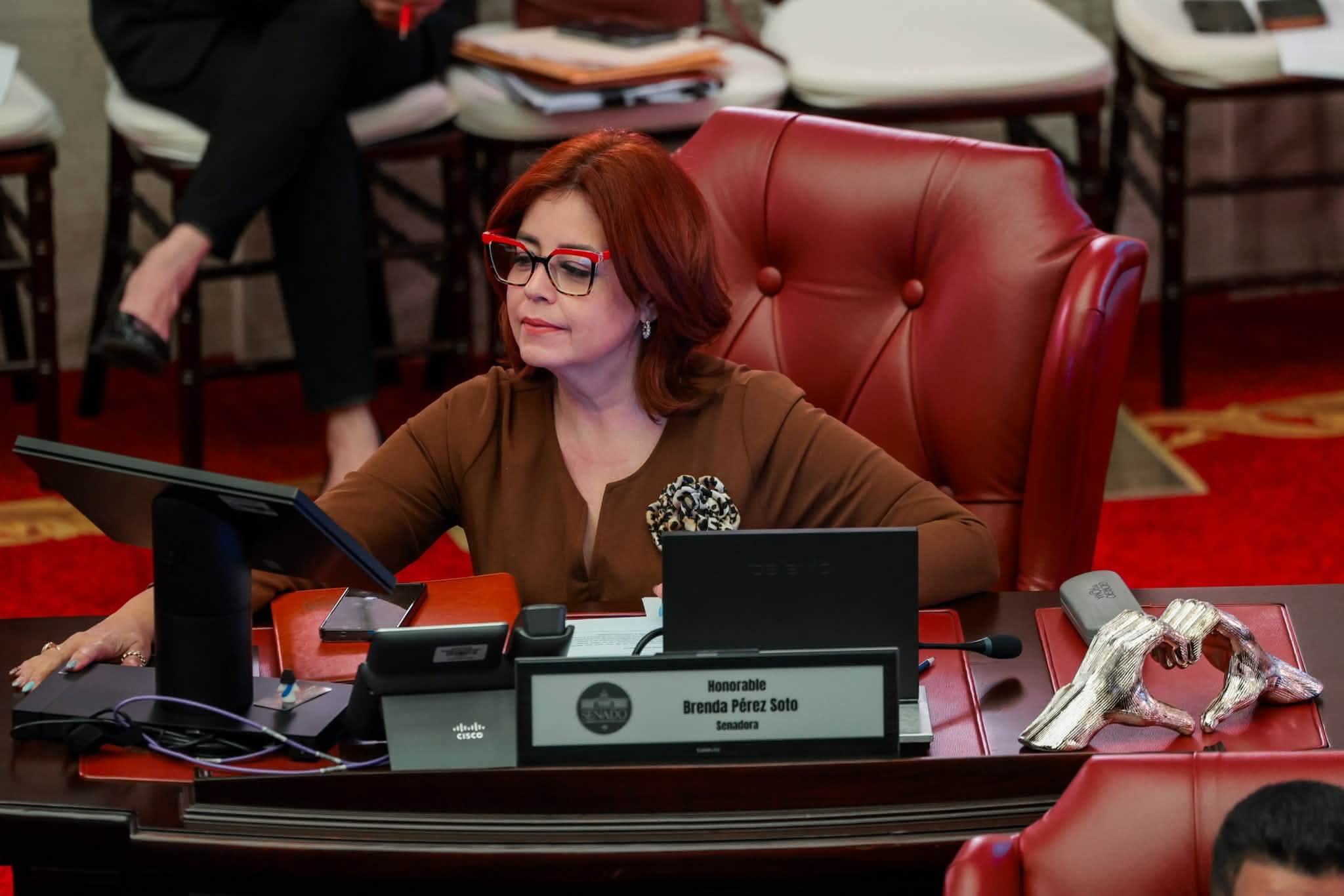 Imagen de Senadora Pérez Soto busca enmendar ley para suspender licencias de conducir por accidentes con ciclistas  