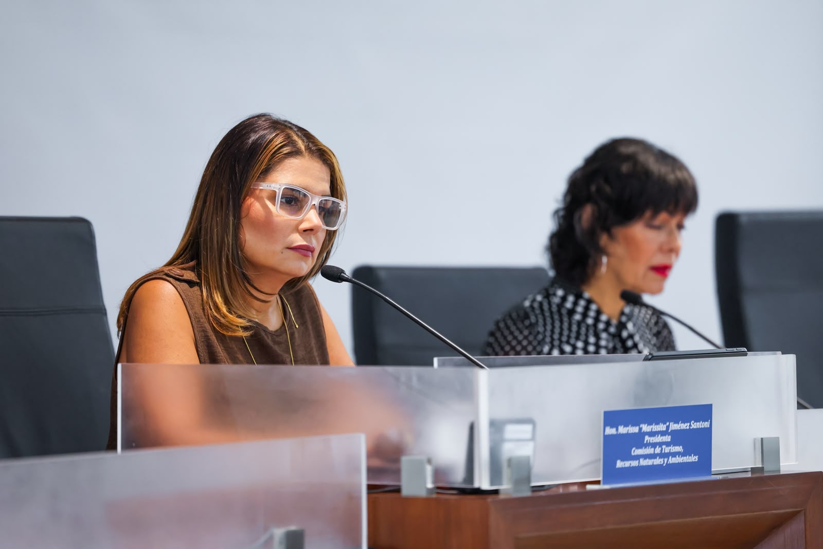 Imagen de Comisión evalúa medidas para la conservación de la vida marina y la protección de los recursos naturales en Puerto Rico