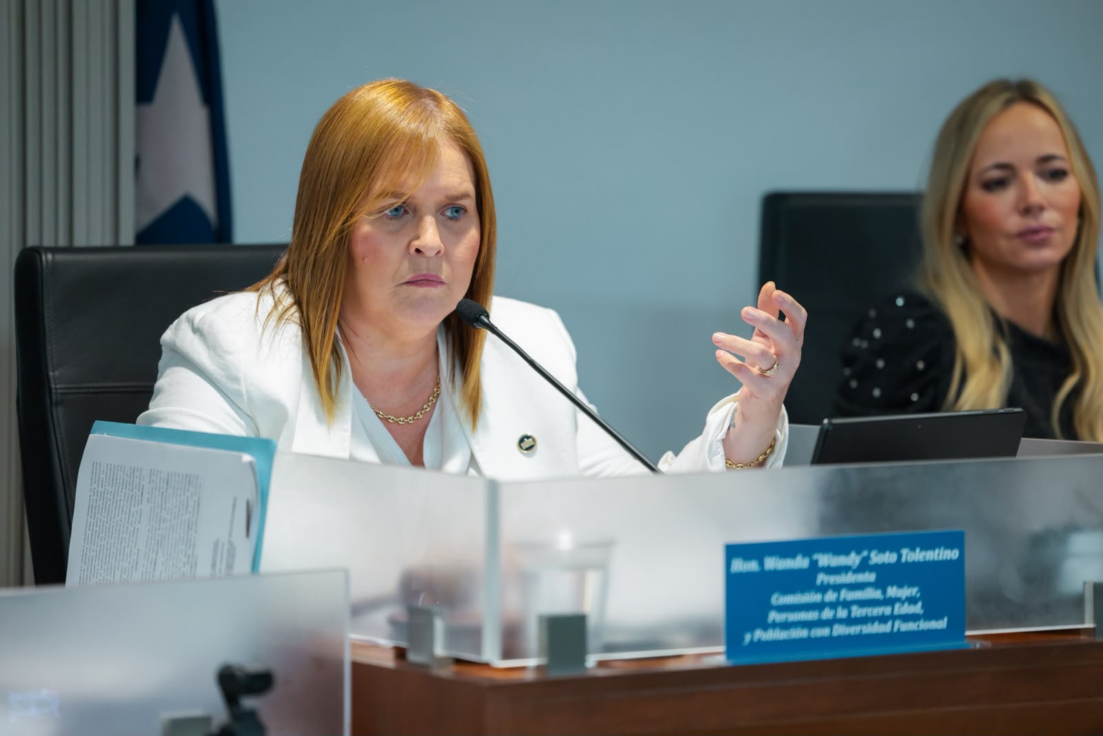 Imagen de  Exadministradora de ADSEF describe ante el Senado presiones de la secretaria de la Familia para firmar contratos
