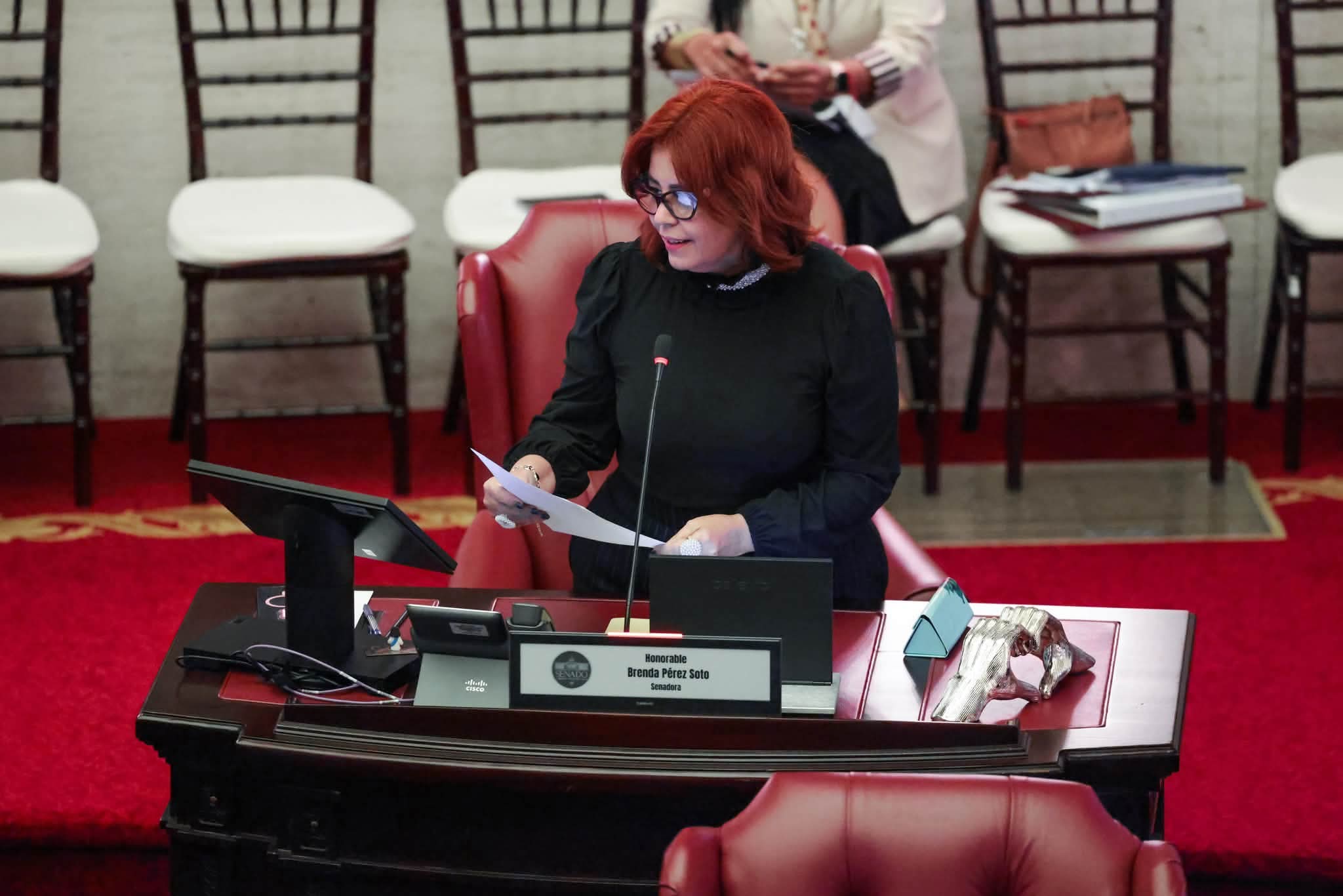 Imagen de  Senadora de Arecibo busca investigar estatus de Centros de Cuido para niños de empleados públicos  