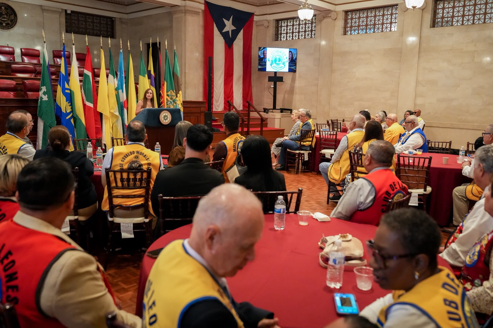 Imagen de Senadora Jamie Barlucea reconoce a los Clubes de Leones del Distrito de Ponce por sus 90 años de servicio  