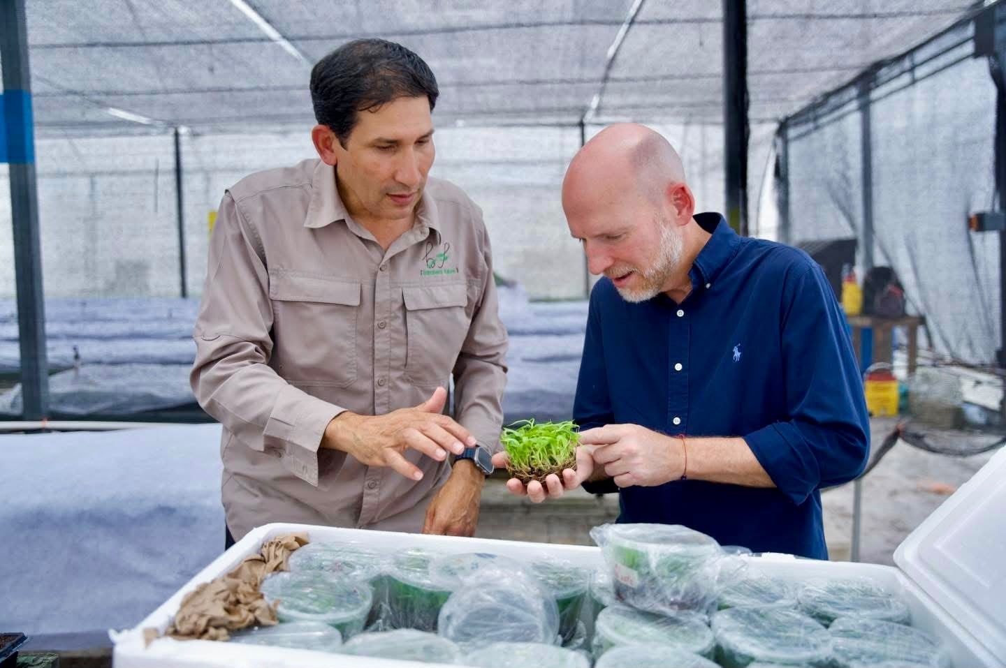 Imagen de Ángel Toledo impulsa proyecto que une la agricultura y la juventud para fortalecer el futuro de la montaña