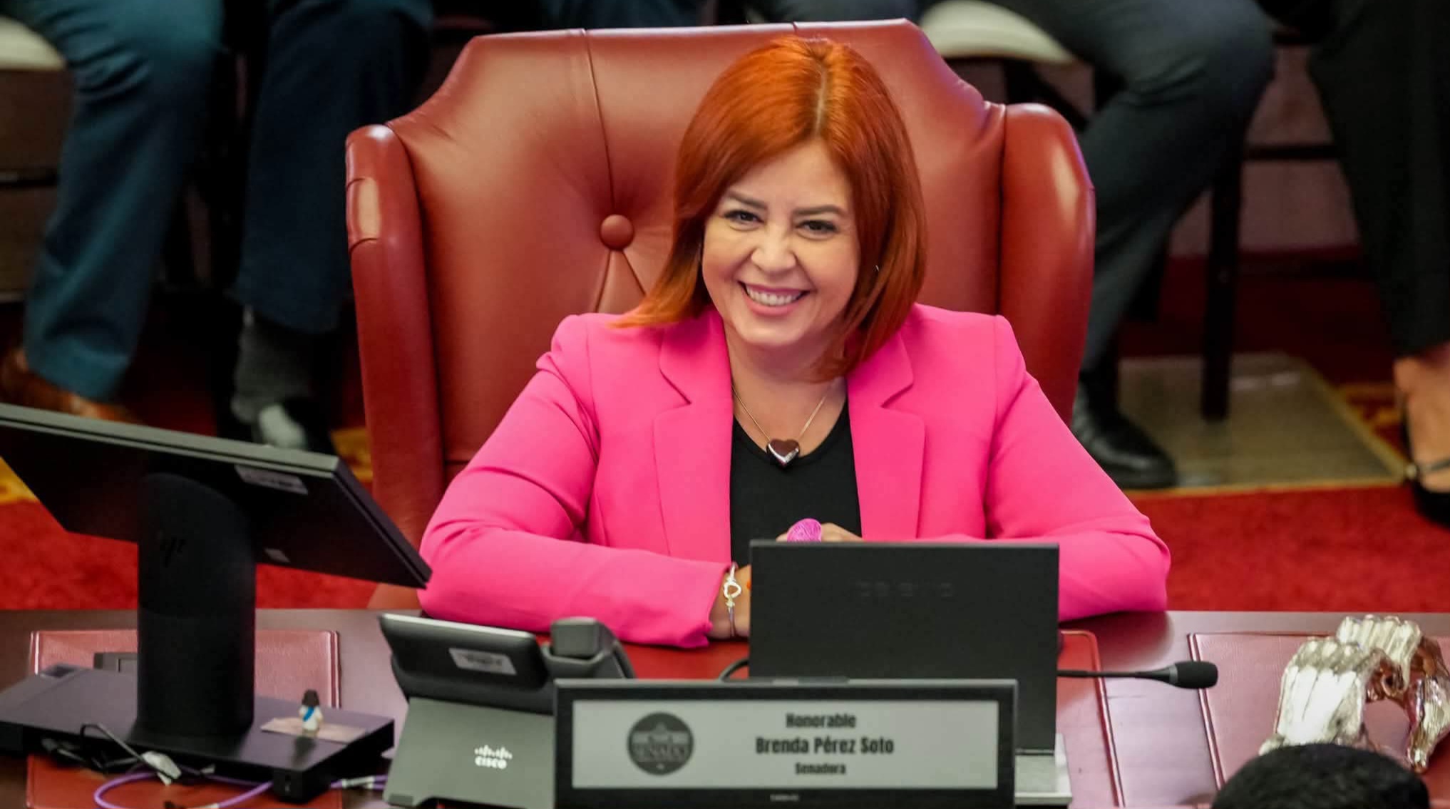 Imagen de Senadora Brenda Pérez Soto radica proyecto para solicitar amnistía para deudores del CRIM