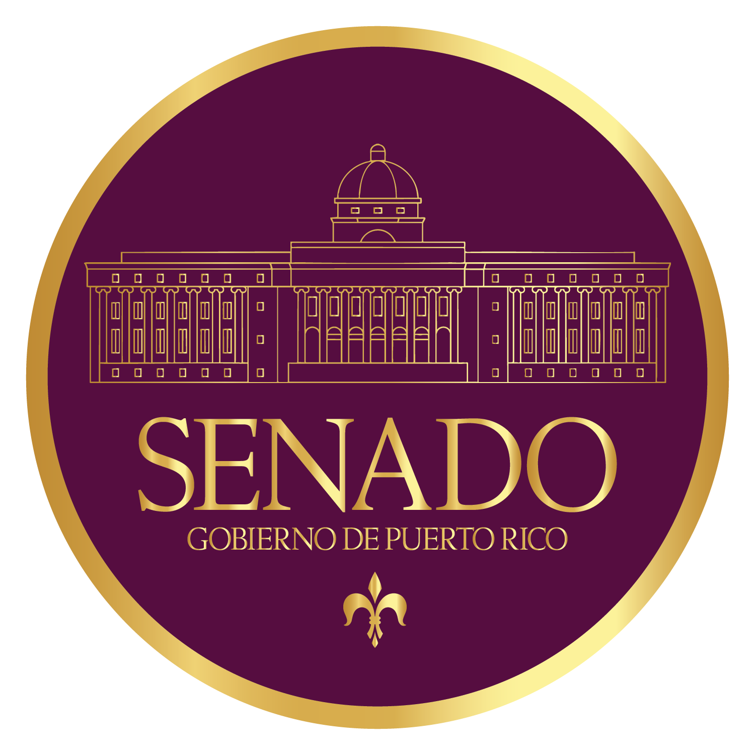 Miembros del Senado de Puerto Rico